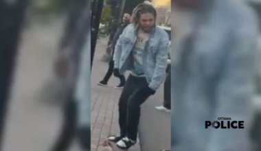 Police searching for OC Transpo assault instigator