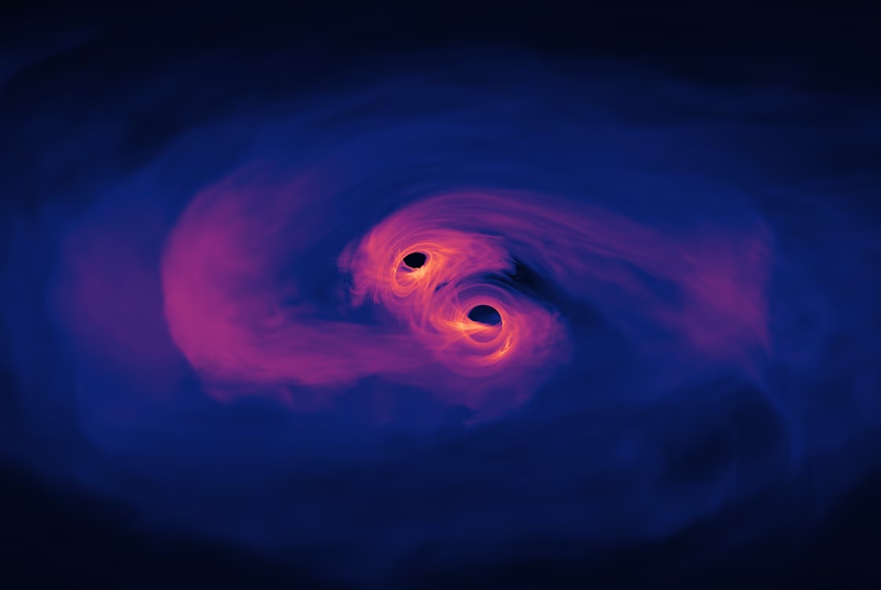binary black holes