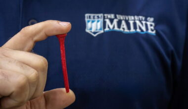 Discarded lobster shells hit the greens as biodegradable golf tees