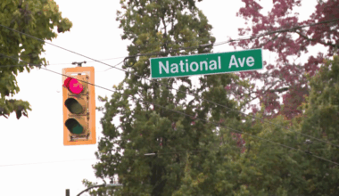 Pedestrian dies after being hit by vehicle on marked crosswalk: VPD
