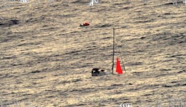 Whale sinks yacht in South Pacific, sailors rescued alive 18 hours later