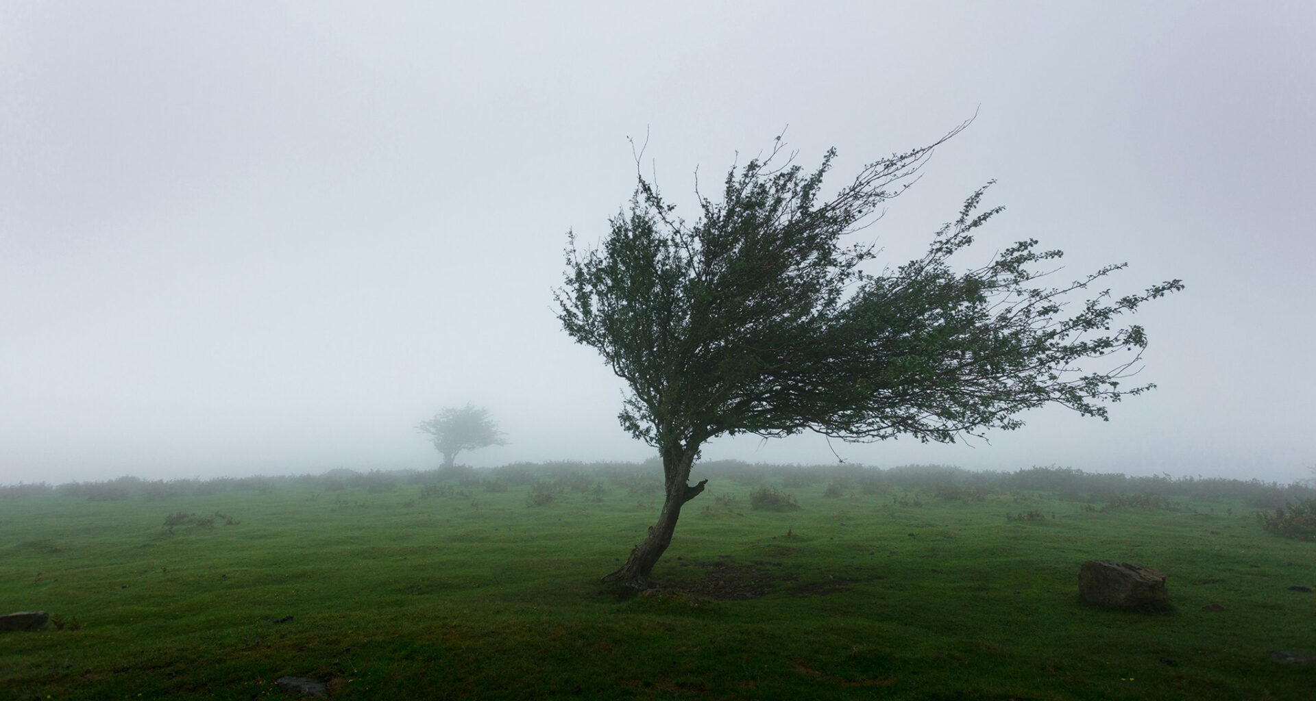 Oct. 22 weather: Wind, fog and frost in southern Ontario