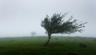 Oct. 22 weather: Wind, fog and frost in southern Ontario