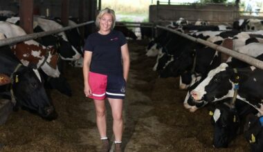 How this born-and-bred townie became a full-time dairy farmer