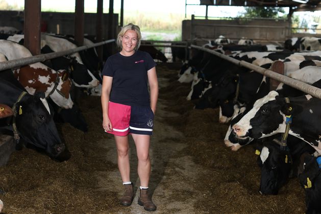 How this born-and-bred townie became a full-time dairy farmer