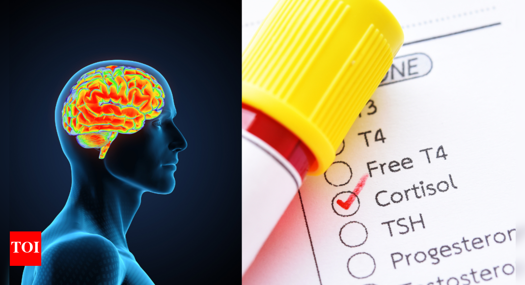 Always stressed? High cortisol is quietly 'killing' brain cells, and can even impair memory, says research