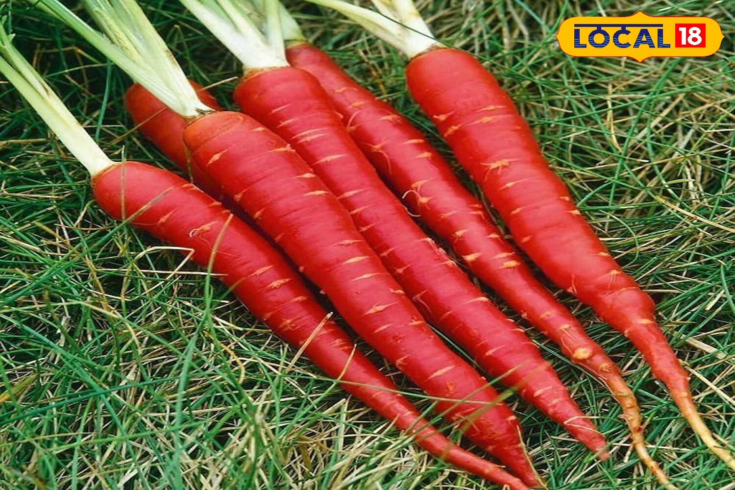 हेल्थ टिप्स हेल्थ टिप्स