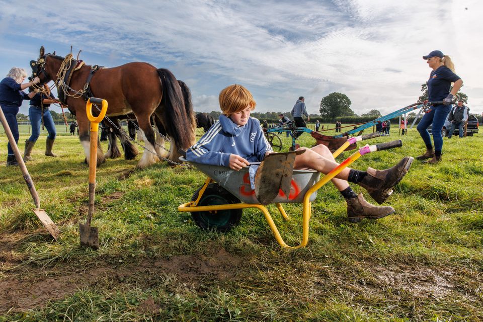 Lughan O'Murchu from Cork takes a break from helping out at first day of the National Ploughing Championships in Screggan, Tullamore, Co. Offaly. Pic: Mark Condren