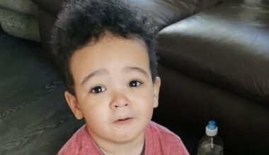 Human remains found during search for missing boy in Donabate as gardaí name child