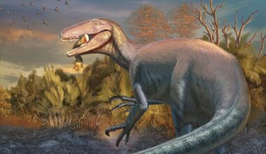 Scientists discover new dinosaur from Argentina with crocodile bone in its mouth