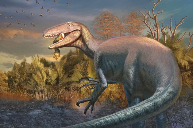 Scientists discover new dinosaur from Argentina with crocodile bone in its mouth