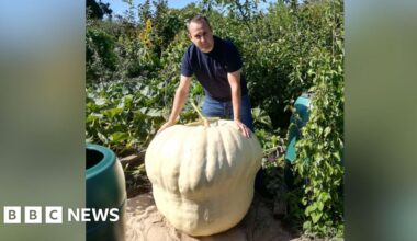 Surrey man grows giant pumpkins to help manage his mental health
