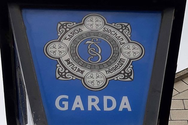 Gardaí in Kerry investigating the late-night abduction of a young woman from the side of the road