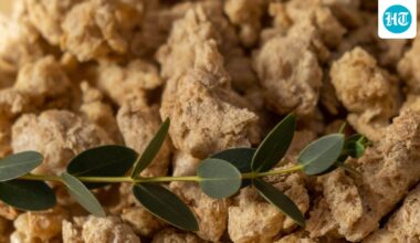 Gut health expert warns that soya chunks are not what you think, are worse than junk food: ‘They have 80 to 90%…’