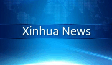 Chinese researchers develop "nano-tagging tool" for cancer immunotherapy-Xinhua