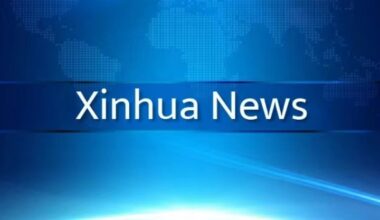 Chinese researchers develop movable electrode for more advanced brain-computer interfaces-Xinhua