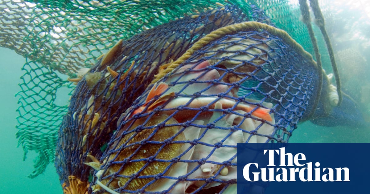 Bottom trawling to continue in English protected waters, government rules | Fishing