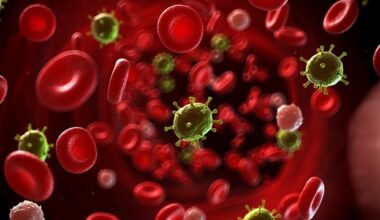 Waning Japanese encephalitis immunity linked to more severe dengue illness