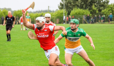 Carrig's Walsh brothers and Hill's Adam Murphy headline standout 15