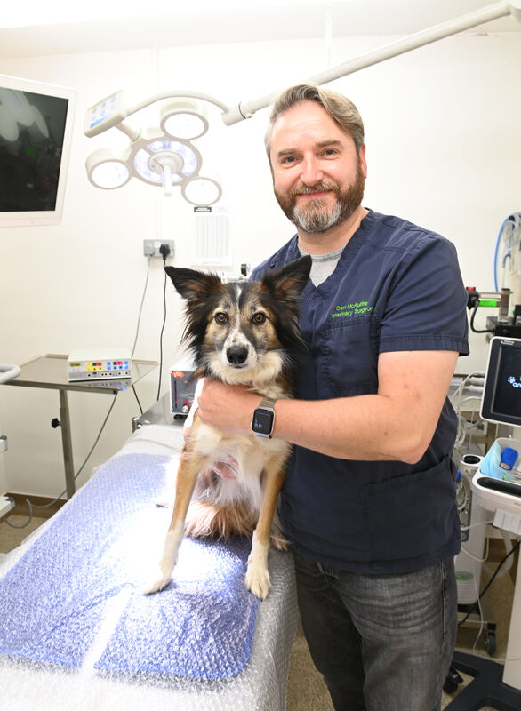  Vet Carl McAuliffe: We’re working to make sure that everything gets done quickly and nobody gets eaten. Picture: Larry Cummins