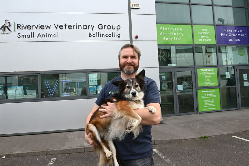  Vet Carl McAuliffe: Primates tend to bite first and ask questions later. Picture: Larry Cummins