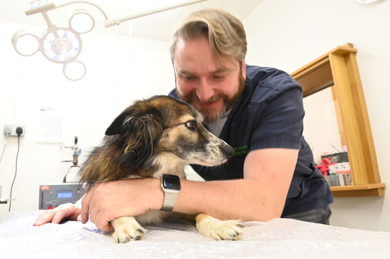  Vet Carl McAuliffe: Veterinary is endlessly fascinating and constantly evolving, just like human medicine. Picture: Larry Cummins