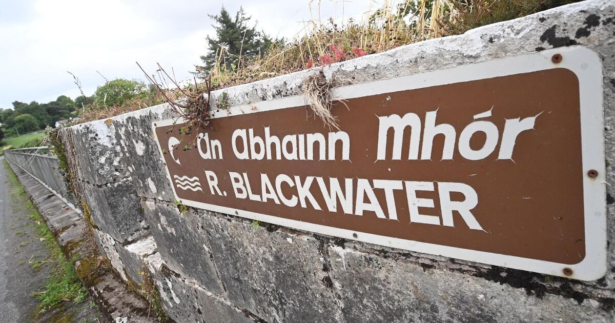 Council to propose solar-powered, water quality monitoring systems in River Blackwater