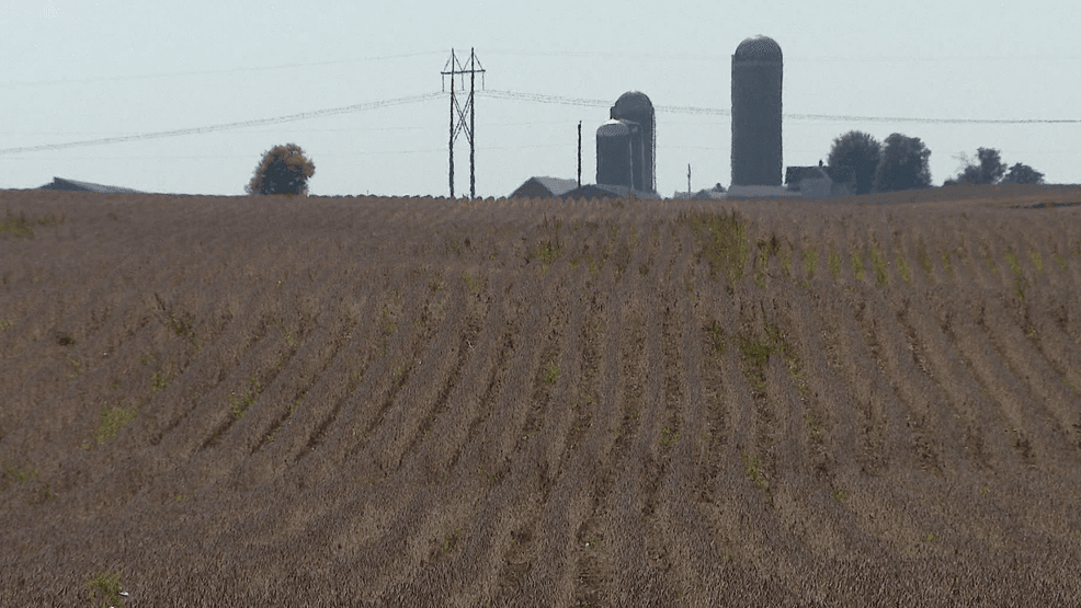 Wisconsin crop farmers are beginning to feel the effects of tariffs on their income. Farmers are just beginning to harvest their crops, but the market to sell has significantly shrunk now that China has refused to buy U.S. yields. Sept. 29, 2025 (WLUK/Lauren Pieczynski).