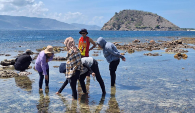Fishermen learning from volunteers how to monitor the health of corals at Gili Balu marine park in Indonesia.
