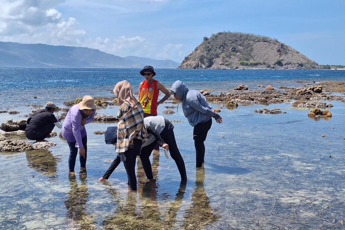 Fishermen learning from volunteers how to monitor the health of corals at Gili Balu marine park in Indonesia.