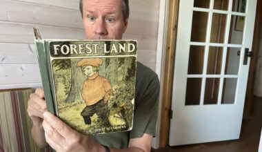 Youth fiction was so much better a century ago