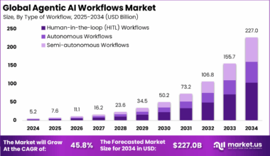 Agentic AI Workflows Market
