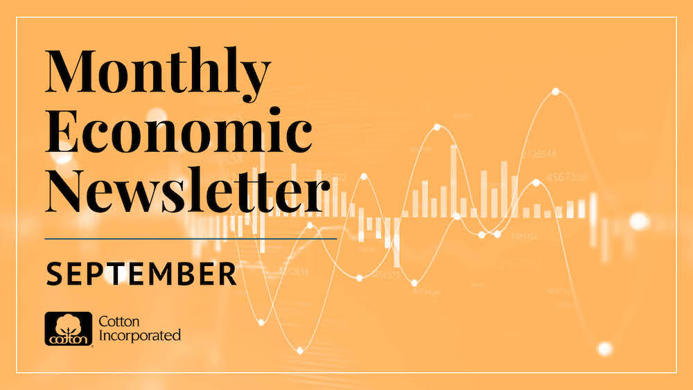 Monthly Cotton Economic Newsletter: September 2025