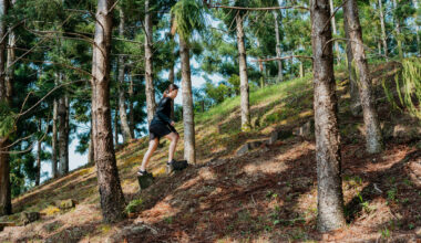 Woman walks up hill among trees