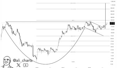 Solana Cup And Handle