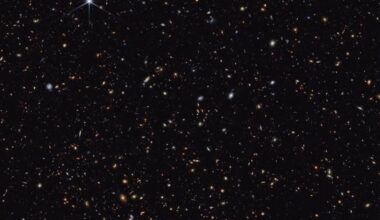 Deep Field Image from JWST, showing both BlueDOGs and LRDs. Credit - NASA, ESA, CSA, STScI, Brant Robertson (UC Santa Cruz), Ben Johnson (CfA), Sandro Tacchella (Cambridge), Marcia Rieke (University of Arizona), Daniel Eisenstein (CfA)