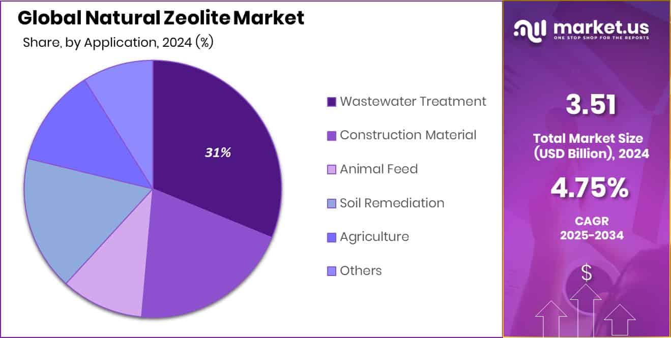 Natural Zeolite Market Share