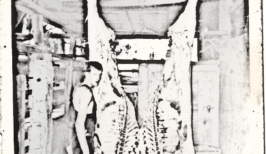 Preludes for an Ending