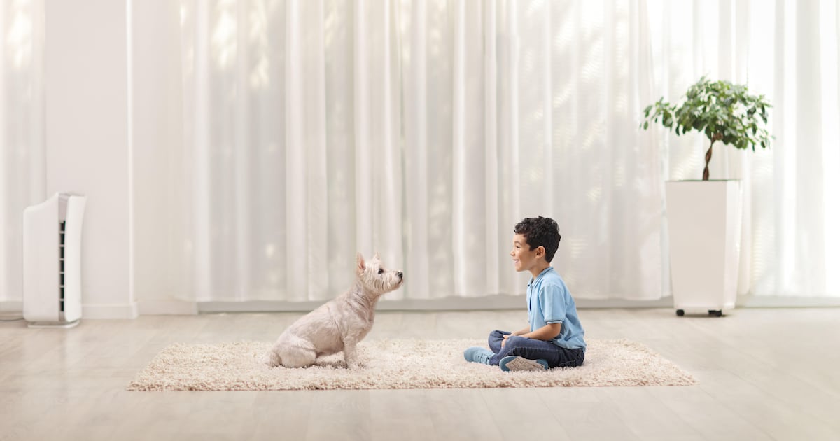 Children who grow up with dogs less likely to have asthma – study – The Irish News