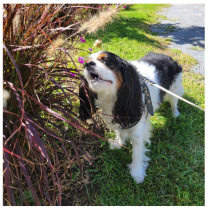 Upcoming Events at the Astoria Bookshop