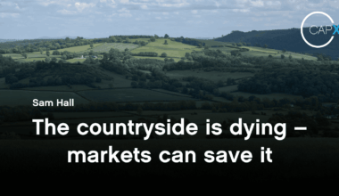 The countryside is dying – markets can save it