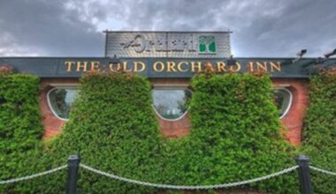 Company behind Ireland’s most expensive pub posts €5.95m loss – The Irish Times