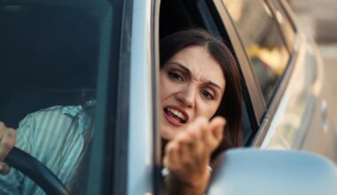 Nothing causes people to get so unaccountably furious more than other drivers – The Irish Times