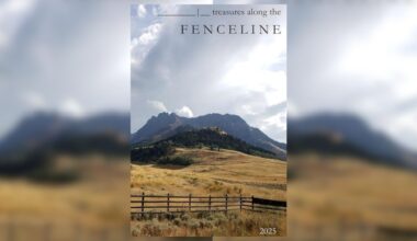 Story Review: "On the Straight and Narrow" by Kirsten Clark