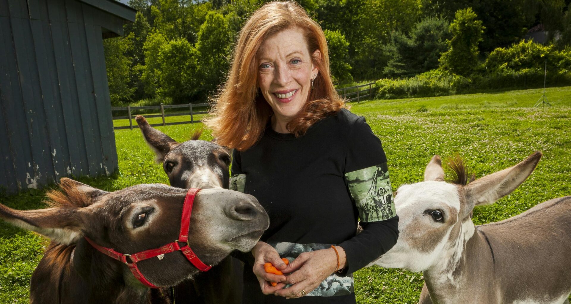 'Adaptation' writer Susan Orlean's 'Joyride' is wild, witty