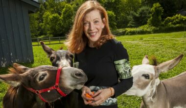 'Adaptation' writer Susan Orlean's 'Joyride' is wild, witty