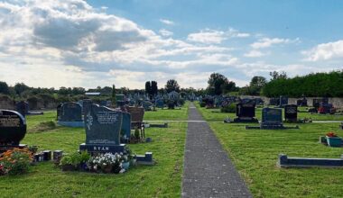 Plot of land sought by council to solve 'grave' problem in Limerick