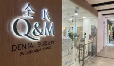 Serial entrepreneurs are reshaping South-east Asia’s business landscape