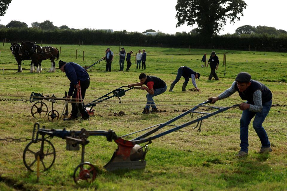 People compete in the horse ploughing event at the Irish National Ploughing Championships in Screggan, Ireland September 16, 2025. REUTERS/Clodagh Kilcoyne