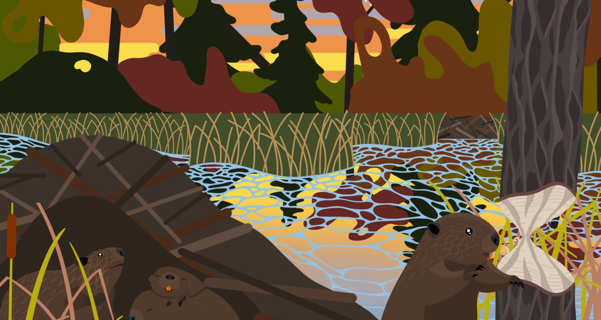 Wildlife technician brings visuals to Parkite’s children’s book